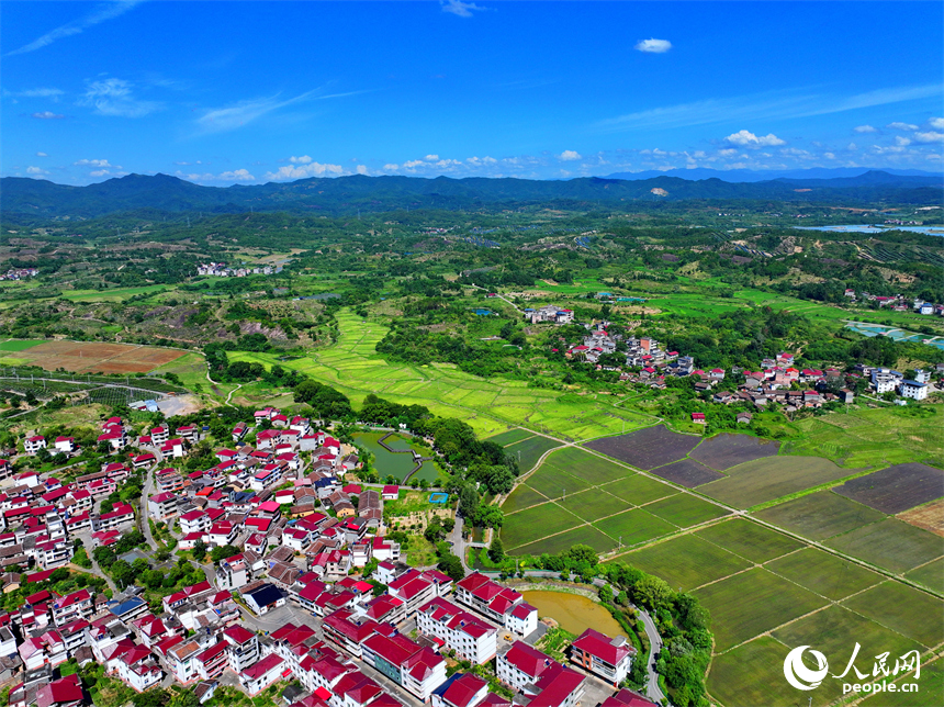 撫州市南豐縣萊溪鄉九聯村，白墻紅瓦的民居與綠色田園相互映襯，構成一幅宜居宜業和美鄉村畫卷。人民網 朱海鵬攝