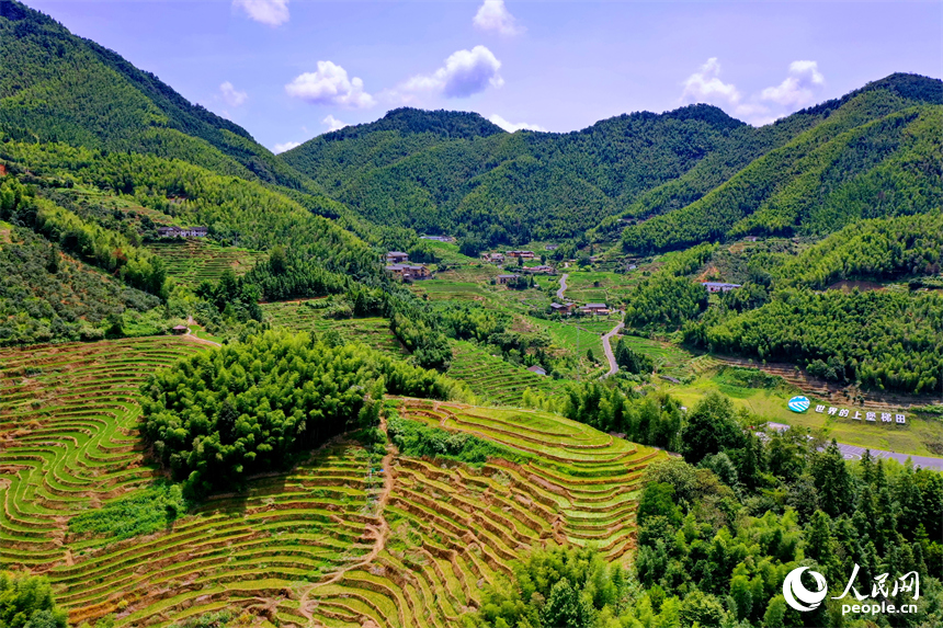 贛州市崇義縣上堡鄉，層層疊疊的梯田沿山勢綿亙蜿蜒，與錯落有致的農房、民宿相互映襯。人民網 朱海鵬攝