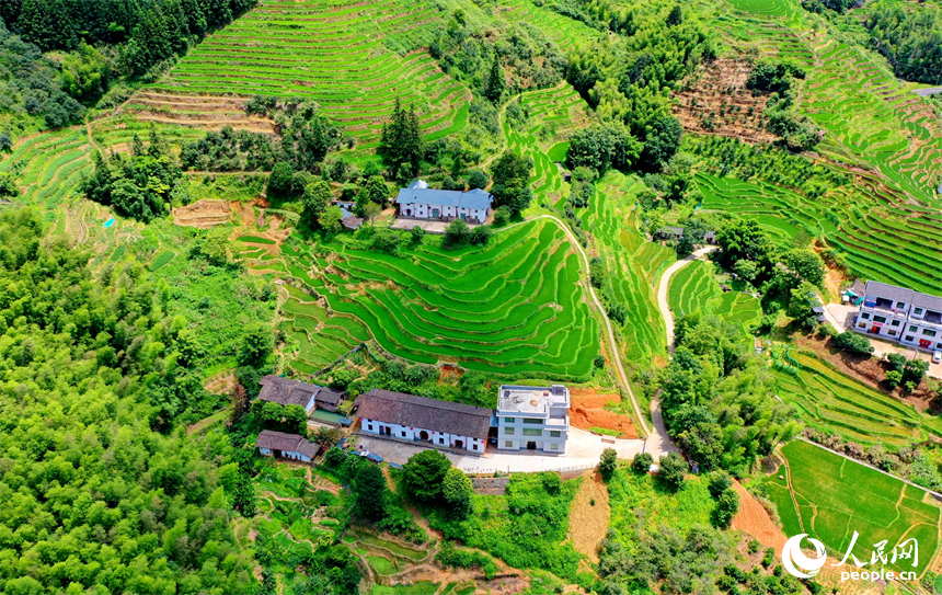 贛州市崇義縣上堡鄉，層層疊疊的梯田沿山勢綿亙蜿蜒，與錯落有致的農房、民宿相互映襯。人民網 朱海鵬攝