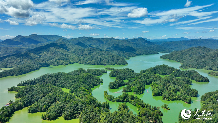 贛州市上猶縣陽明湖，山青水碧、樹木蔥蘢，與藍天白云相映成畫。人民網 朱海鵬攝