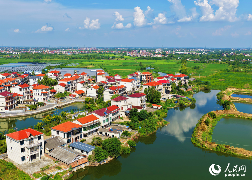 星羅棋布的魚塘與民居、田野相互映襯，構成一幅色彩斑斕的和美鄉村畫卷。人民網記者 毛思遠攝