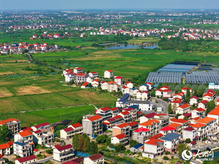 星羅棋布的魚塘與民居、田野相互映襯，構成一幅色彩斑斕的和美鄉村畫卷。人民網記者 毛思遠攝