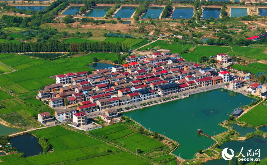 星羅棋布的魚塘與民居、田野相互映襯，構成一幅色彩斑斕的和美鄉村畫卷。人民網記者 毛思遠攝