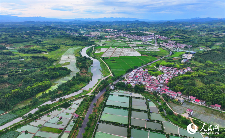撫州市南豐縣太和鎮丹陽村，車輛行駛在通村公路上，沿線農房、魚塘、稻田、群山相映成畫。人民網 朱海鵬攝
