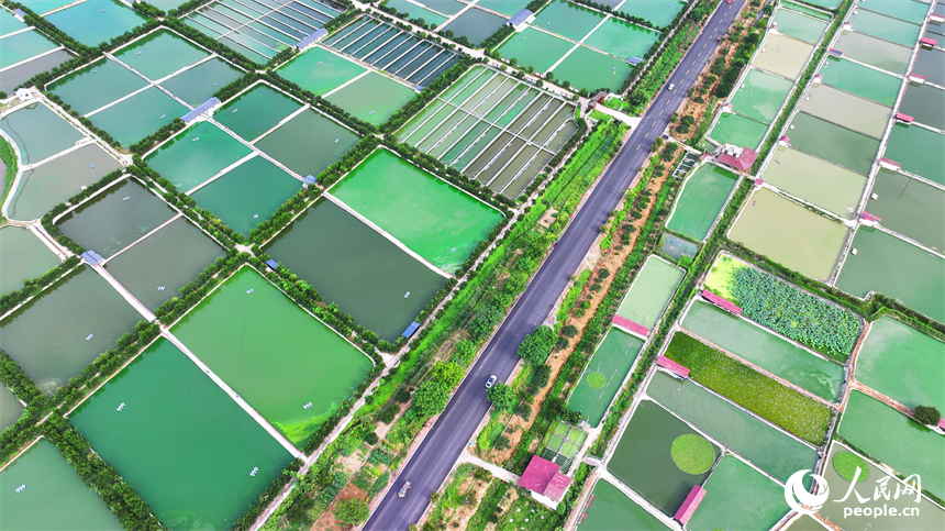 撫州市南豐縣太和鎮丹陽村，車輛行駛在通村公路上，沿線農房、魚塘、稻田、群山相映成畫。人民網 朱海鵬攝