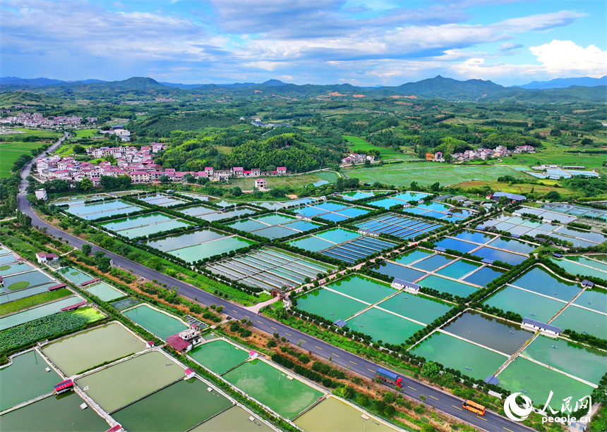 撫州市南豐縣太和鎮丹陽村，車輛行駛在通村公路上，沿線農房、魚塘、稻田、群山相映成畫。人民網 朱海鵬攝