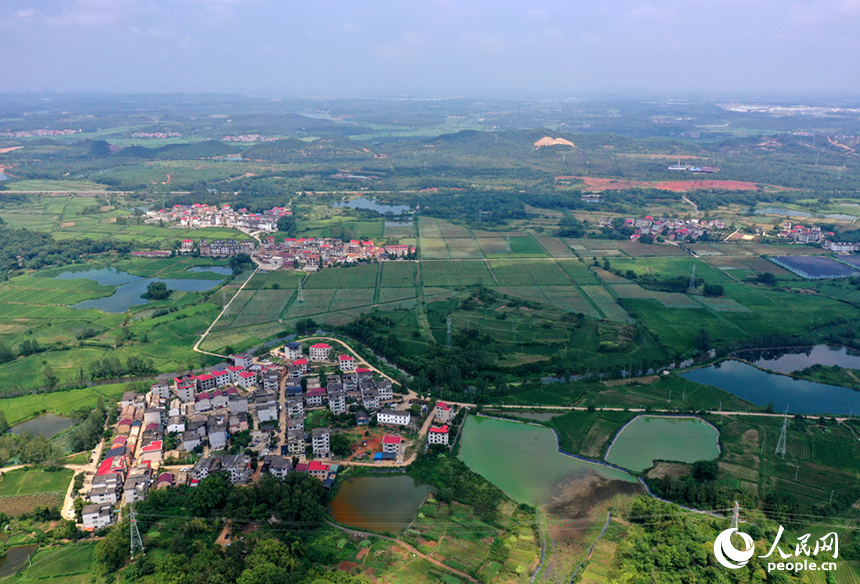 航拍鏡頭下，初秋時節的上高縣蘆洲鄉上新村宛如一幅精心繪制的田園畫卷。 人民網記者 時雨攝
