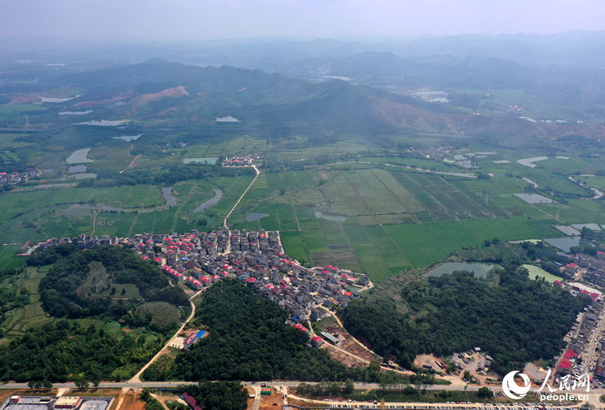 航拍鏡頭下，初秋時節的上高縣蘆洲鄉上新村宛如一幅精心繪制的田園畫卷。 人民網記者 時雨攝