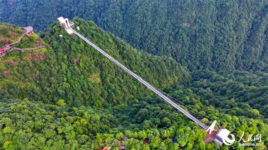 許多游客在安遠縣三百山景區玻璃棧道游玩。人民網 朱海鵬攝