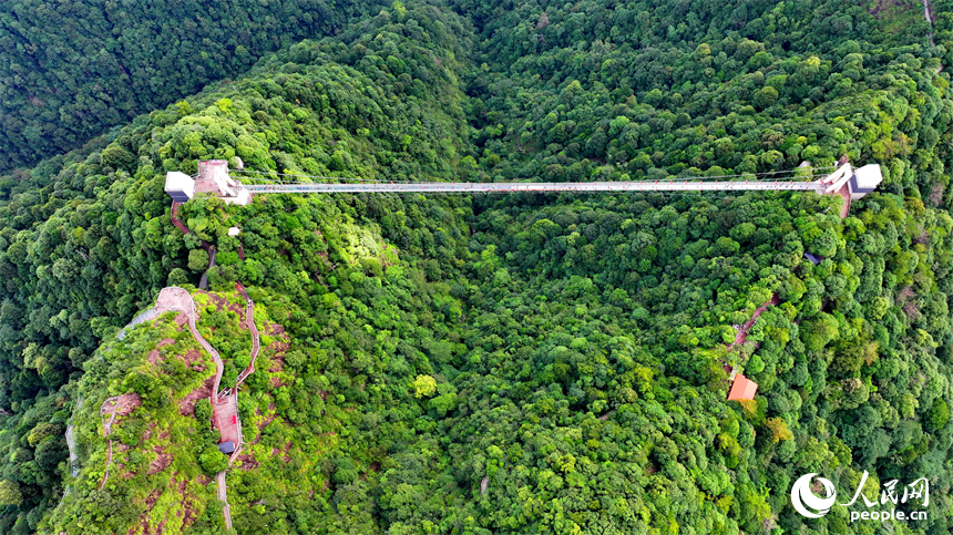 許多游客在安遠縣三百山景區玻璃棧道游玩。人民網 朱海鵬攝