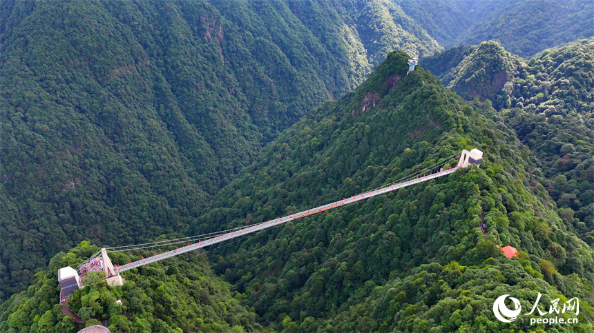 許多游客在安遠縣三百山景區玻璃棧道游玩。人民網 朱海鵬攝