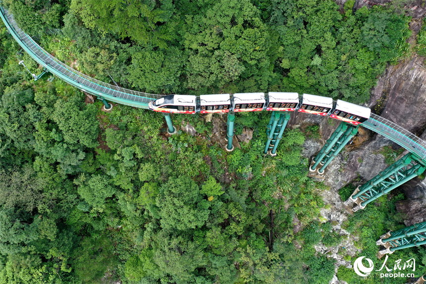 資溪縣大覺山景區，懸崖動車在綠山間穿行，游客們感受“云端飛馳”的刺激與震撼。人民網記者 時雨攝