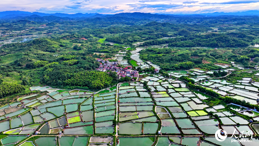 撫州市南豐縣桑田鎮司前村一帶的水產養殖塘星羅棋布，猶如大地調色板。人民網 朱海鵬攝