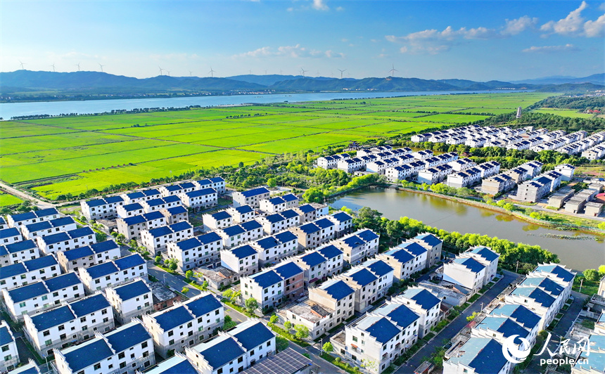 吉安市吉水縣水田鄉孔巷村，整齊的民房與連片的農田相得益彰，相映成景。人民網 朱海鵬攝