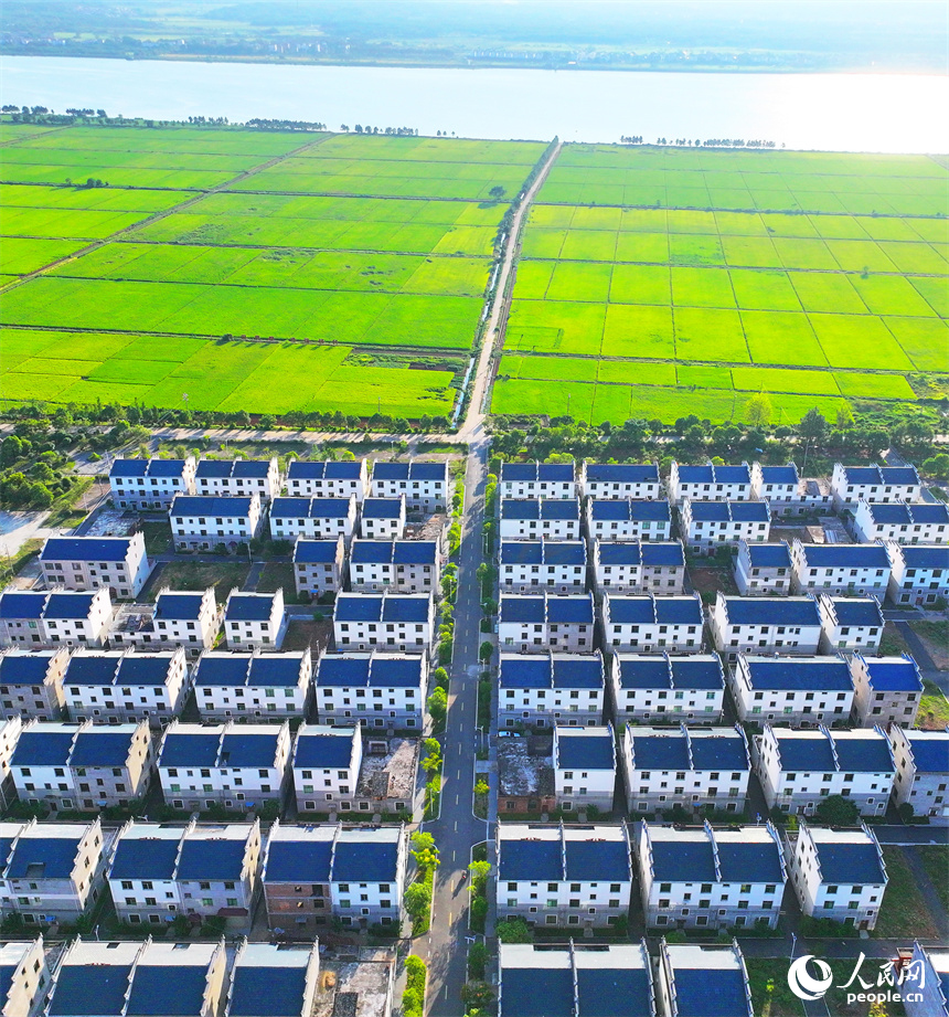 吉安市吉水縣水田鄉孔巷村，整齊的民房與連片的農田相得益彰，相映成景。人民網 朱海鵬攝