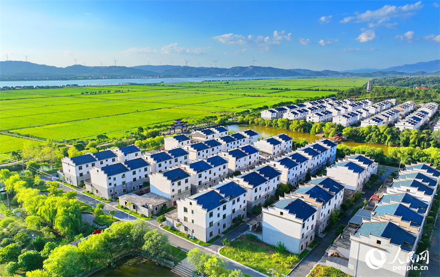 吉安市吉水縣水田鄉孔巷村，整齊的民房與連片的農田相得益彰，相映成景。人民網 朱海鵬攝