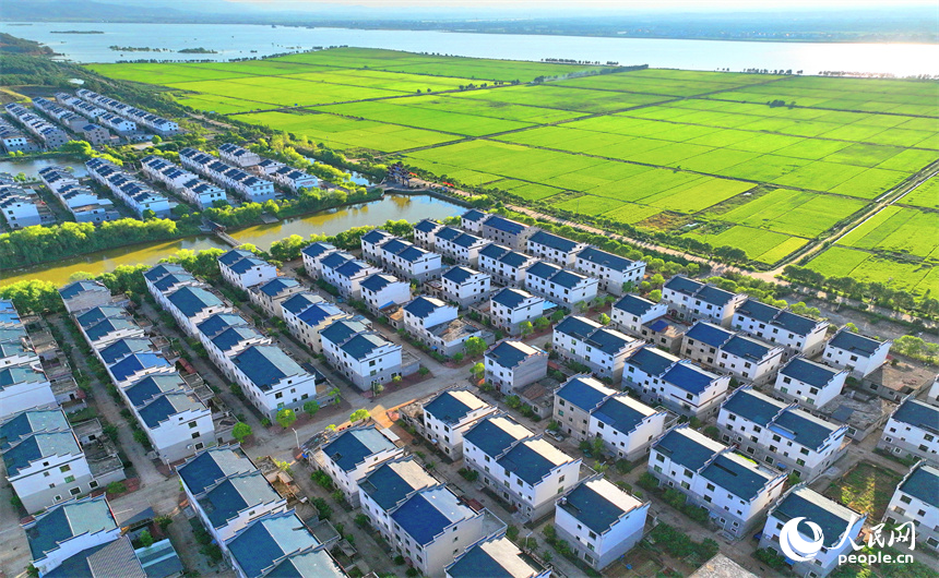 吉安市吉水縣水田鄉孔巷村，整齊的民房與連片的農田相得益彰，相映成景。人民網 朱海鵬攝