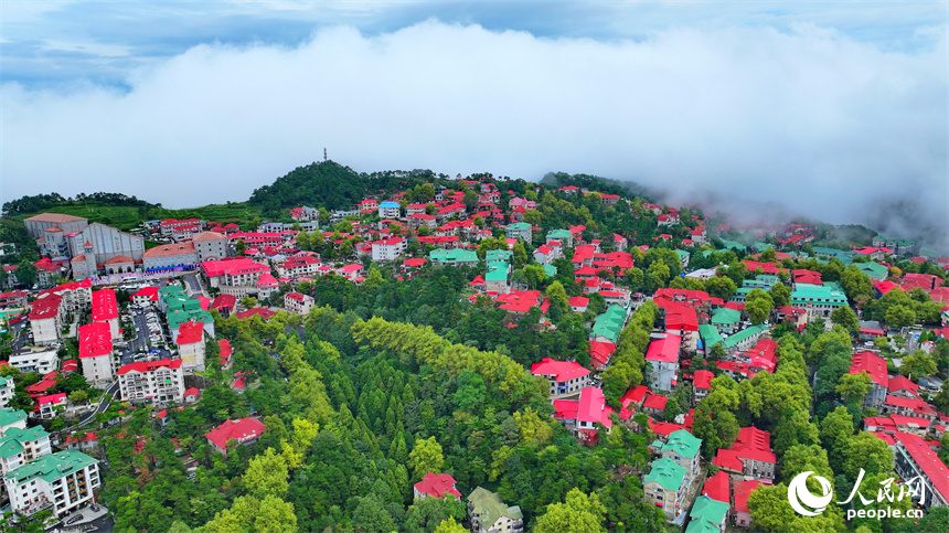 廬山市牯嶺鎮云霧繚繞，美輪美奐，與房屋、綠樹相映成景。人民網 朱海鵬攝
