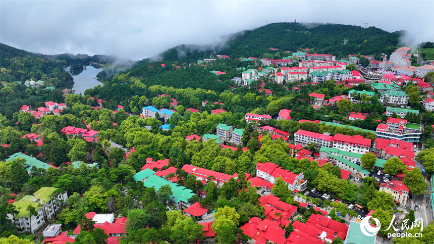 廬山市牯嶺鎮云霧繚繞，美輪美奐，與房屋、綠樹相映成景。人民網 朱海鵬攝