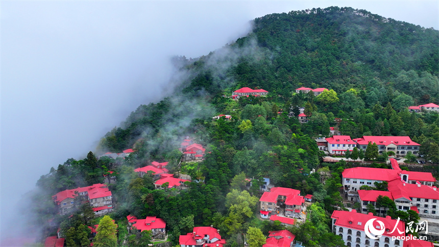 廬山市牯嶺鎮云霧繚繞，美輪美奐，與房屋、綠樹相映成景。人民網 朱海鵬攝