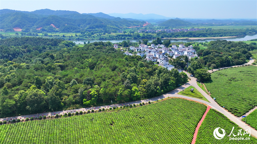 德興市香屯街道柏垣村，鱗次櫛比的房屋與蜿蜒的樂安江相映成景，構成一幅河暢、水清、岸綠的和美鄉村畫卷。人民網 朱海鵬攝