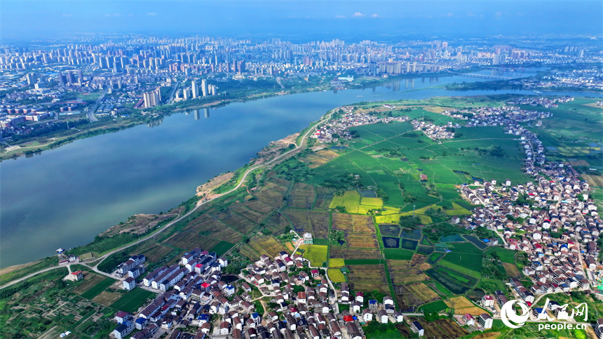 撫州市東臨新區湖南鄉店下村，撫河沿岸城市建筑與鄉村田園相互映襯，構成一幅水清岸綠的城鄉美景畫卷。人民網 朱海鵬攝