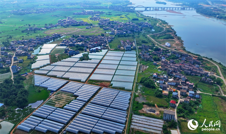 撫州市東臨新區湖南鄉店下村，撫河沿岸城市建筑與鄉村田園相互映襯，構成一幅水清岸綠的城鄉美景畫卷。人民網 朱海鵬攝