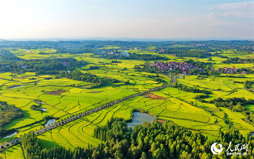吉安市泰和縣馬市鎮南溪村，農村公路沿線阡陌縱橫、房屋錯落，青山與綠樹交相輝映，處處“豐”景宜人。人民網 朱海鵬攝