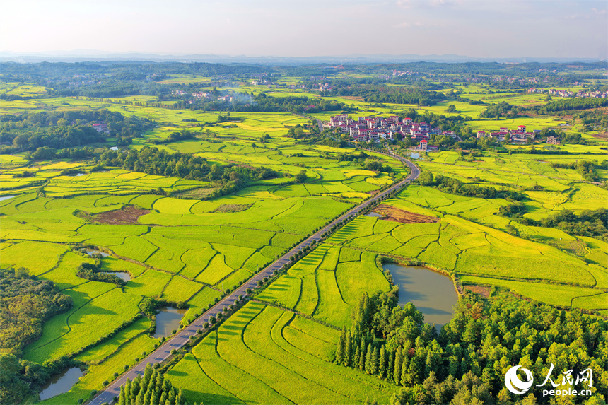 吉安市泰和縣馬市鎮南溪村,農村公路沿線阡陌縱橫、房屋錯落,青山與綠樹交相輝映,處處“豐”景宜人。人民網 朱海鵬攝