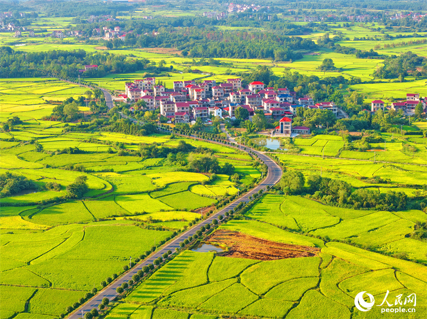 吉安市泰和縣馬市鎮南溪村,農村公路沿線阡陌縱橫、房屋錯落,青山與綠樹交相輝映,處處“豐”景宜人。人民網 朱海鵬攝