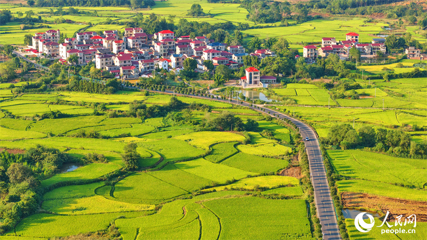 吉安市泰和縣馬市鎮南溪村,農村公路沿線阡陌縱橫、房屋錯落,青山與綠樹交相輝映,處處“豐”景宜人。人民網 朱海鵬攝
