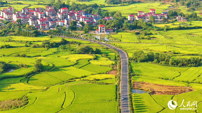 吉安市泰和縣馬市鎮南溪村,農村公路沿線阡陌縱橫、房屋錯落,青山與綠樹交相輝映,處處“豐”景宜人。人民網 朱海鵬攝