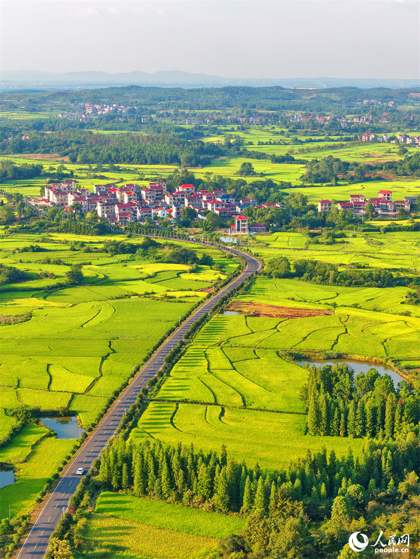吉安市泰和縣馬市鎮南溪村,農村公路沿線阡陌縱橫、房屋錯落,青山與綠樹交相輝映,處處“豐”景宜人。人民網 朱海鵬攝