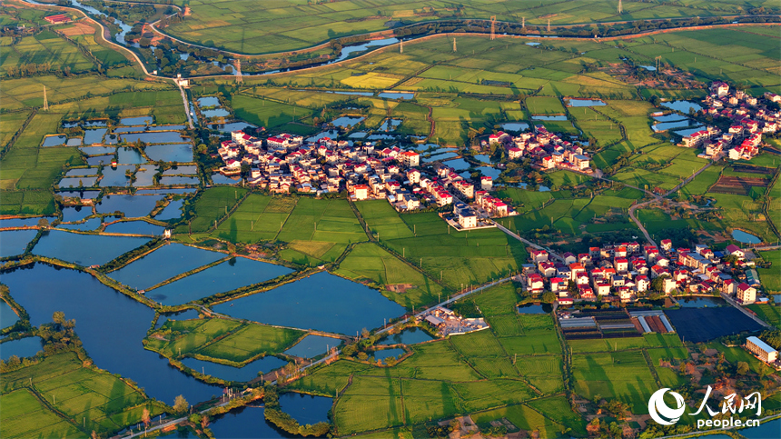 樟樹市大橋街道漁塘村，田園水系環繞，農房錯落有致，秋日鄉村美景怡人。人民網 朱海鵬攝