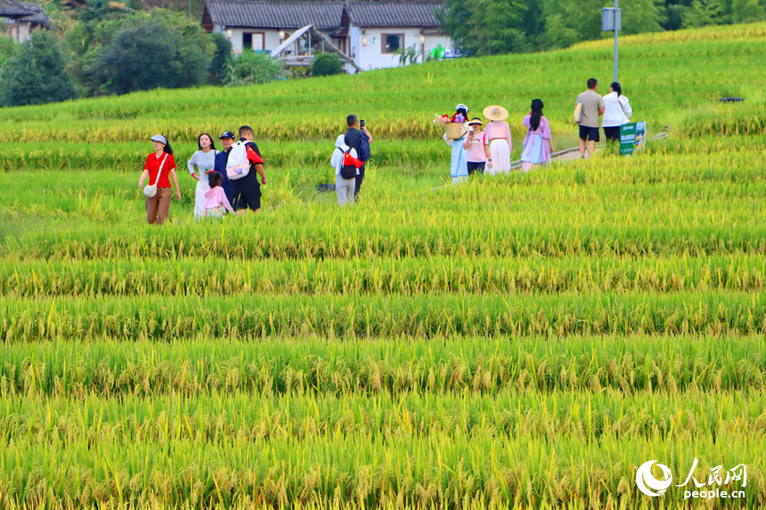 崇義縣上堡鄉水南村，層疊蜿蜒的梯田吸引不少游客前來游覽。人民網 朱海鵬攝