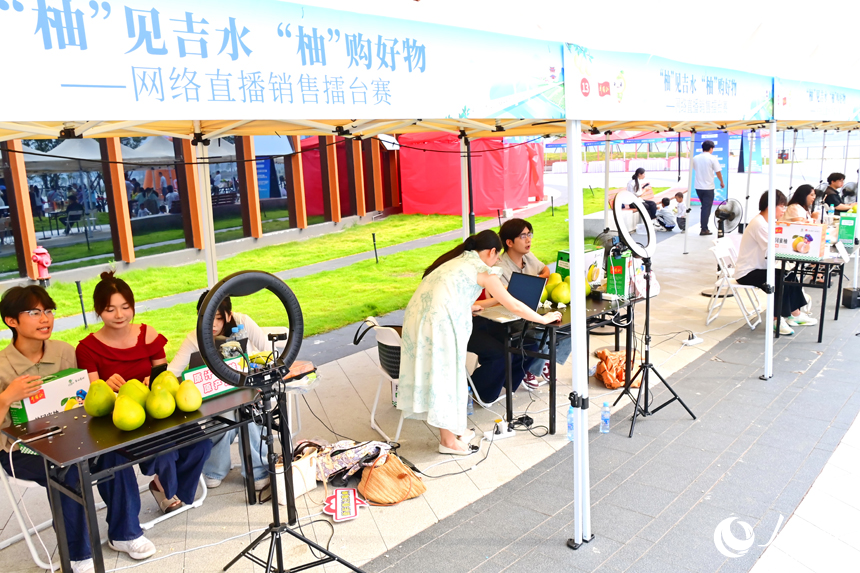 活動現場，參加網絡直播銷售擂臺賽的主播們通過直播助力井岡蜜柚銷售。人民網 朱海鵬攝