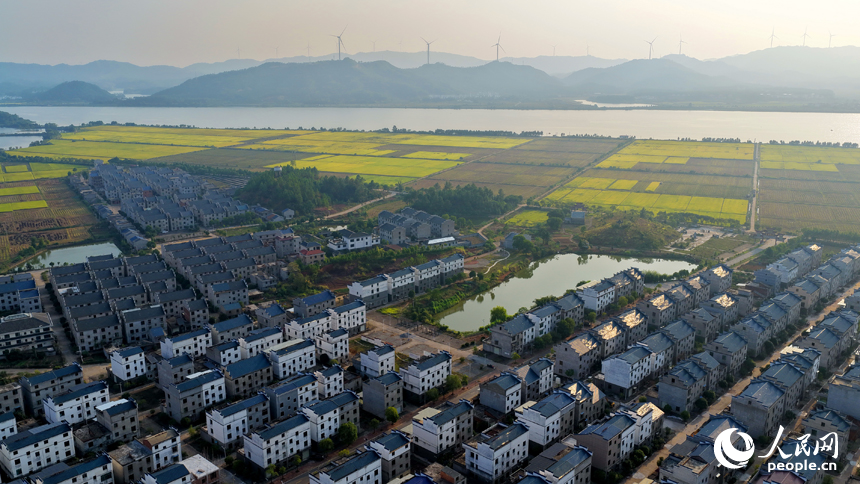 吉安市吉水縣水田鄉郭家村，村居民房與田園秋韻相映映襯，景美如畫。人民網 朱海鵬攝