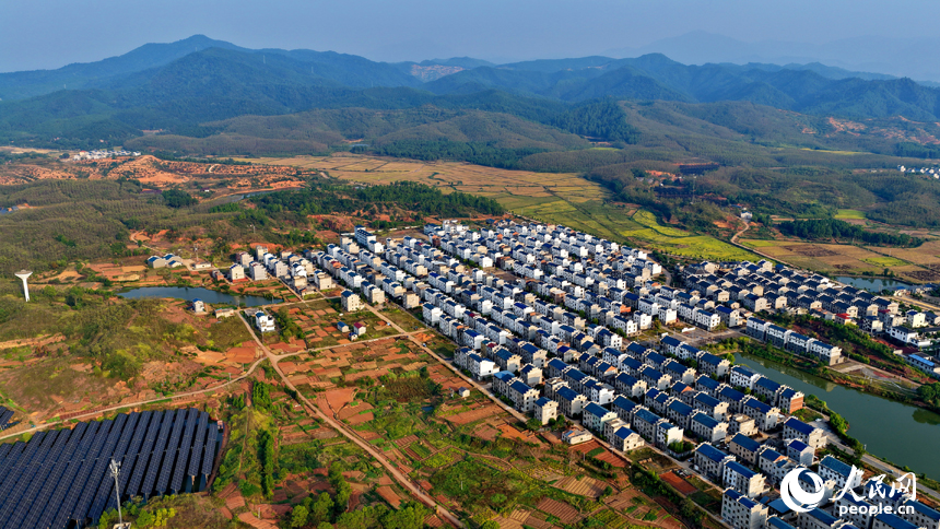 吉安市吉水縣水田鄉郭家村，村居民房與田園秋韻相映映襯，景美如畫。人民網 朱海鵬攝