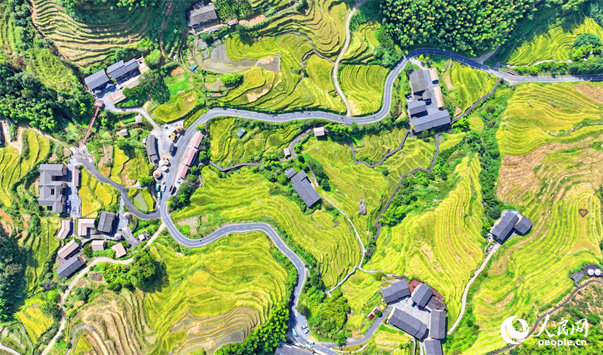 贛州市崇義縣上堡鄉，通村柏油公路串聯起層層疊疊的梯田，吸引了不少游客驅車前來游玩。人民網 朱海鵬攝