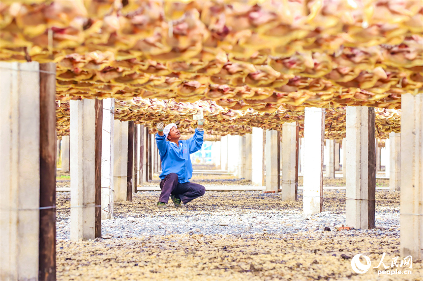 贛州市大余縣南安鎮的一處南安板鴨生產基地，工人正在晾曬板鴨。人民網 朱海鵬攝