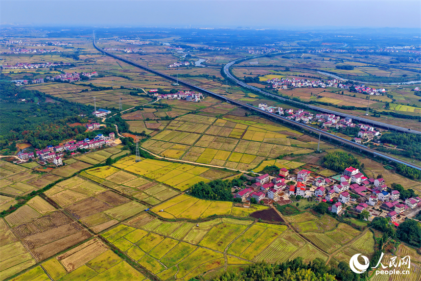 樟樹市觀上鎮一帶，公路、鐵路縱橫交錯，廣袤田園與青山綠樹交相輝映，冬日風景宜人。人民網 朱海鵬攝