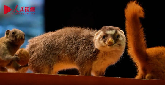 武夷山科普宣講進校園