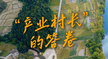 “產業村長”的答卷