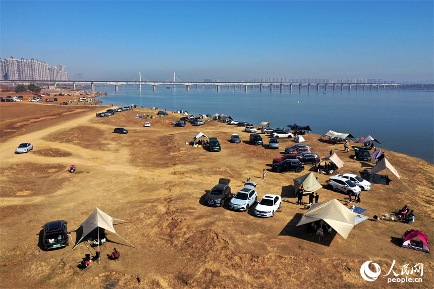 冬日暖陽下，馬咀山生態公園迎來眾多開車露營休閑的市民游客。人民網記者 時雨攝