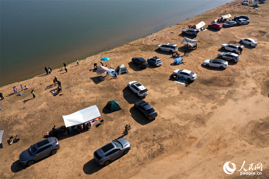 冬日暖陽下，馬咀山生態公園迎來眾多開車露營休閑的市民游客。人民網記者 時雨攝