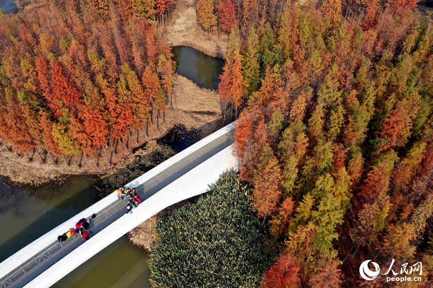 市民們在魚尾洲濕地公園內的親水步道上拍照打卡，享受冬日里的愜意。人民網記者 時雨攝