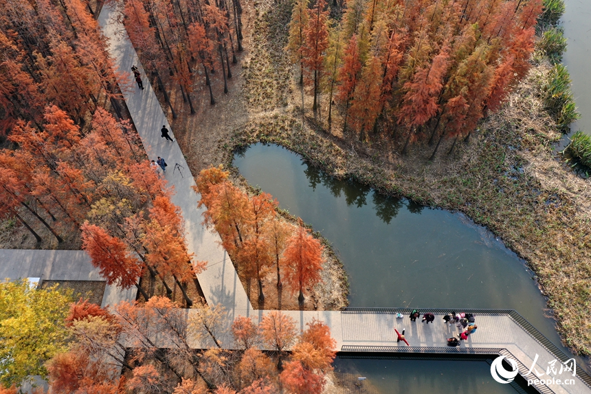 市民們在魚尾洲濕地公園內的親水步道上拍照打卡，享受冬日里的愜意。人民網記者 時雨攝