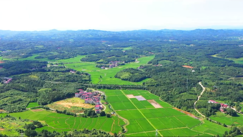 子龍故里 錦繡杜市