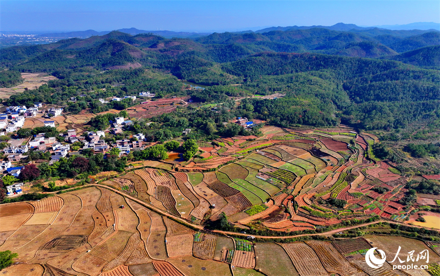 贛州市信豐縣正平鎮聯合村，車輛往來穿行，通村公路連通村莊、田園和蔬菜種植基地，勾勒出多彩斑斕的冬日鄉村圖景。人民網記者 朱海鵬攝