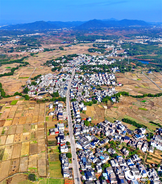 贛州市信豐縣正平鎮聯合村，車輛往來穿行，通村公路連通村莊、田園和蔬菜種植基地，勾勒出多彩斑斕的冬日鄉村圖景。人民網記者 朱海鵬攝